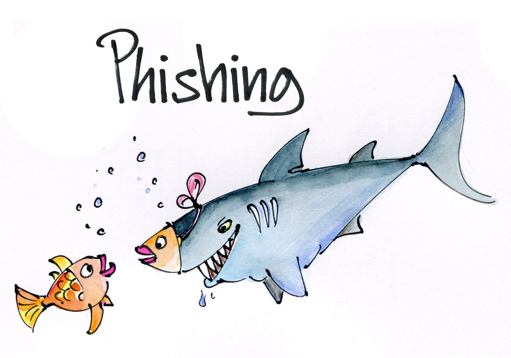 5phising